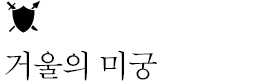 거울의 미궁